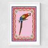 Birdframe Macaw Medium White Frame