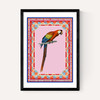 Birdframe Macaw