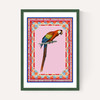 Birdframe Macaw