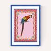 Birdframe Macaw