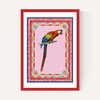 Birdframe Macaw