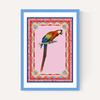 Birdframe Macaw