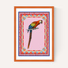 Birdframe Macaw