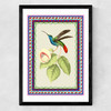 Birdframe Hummingbird Medium Black Frame