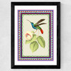 Birdframe Hummingbird Wide Black Frame