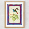 Birdframe Hummingbird Wide Oak Frame