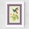 Birdframe Hummingbird Medium White Frame