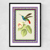 Birdframe Hummingbird Narrow Black Frame