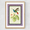 Birdframe Hummingbird Medium Oak Frame