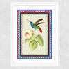 Birdframe Hummingbird Wide White Frame