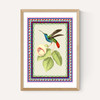 Birdframe Hummingbird