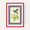 Birdframe Hummingbird
