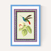 Birdframe Hummingbird