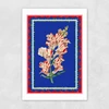 Carnival Snapdragon