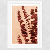 Eucalyptus Painting III Wide White Frame