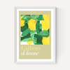 L'albero di limone II