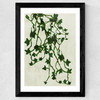 Shadow Garden Wide Black Frame