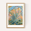 Agave Plant