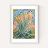 Agave Plant