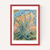 Agave Plant