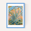 Agave Plant