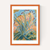 Agave Plant