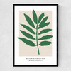 Botanical Collection I (Green) Narrow Black Frame