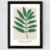Botanical Collection I (Green) Wide Black Frame