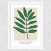 Botanical Collection I (Green) Wide White Frame