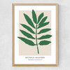 Botanical Collection I (Green) Medium Oak Frame