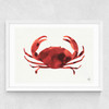 Crabs Tale Medium White Frame