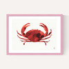 Crabs Tale