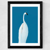 Swan Maybe Wide Black Frame