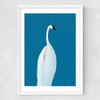 Swan Maybe Medium White Frame