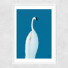 Swan Maybe Narrow White Frame
