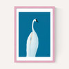 Swan Maybe