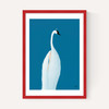 Swan Maybe