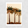 Palm Trio Unframed Print