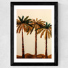 Palm Trio Wide Black Frame