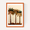 Palm Trio