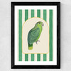 Stripey Green Parrot Wide Black Frame