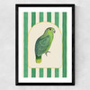 Stripey Green Parrot Medium Black Frame