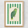 Stripey Green Parrot Wide Oak Frame