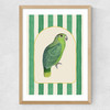 Stripey Green Parrot Medium Oak Frame