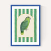 Stripey Green Parrot