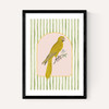 Eccentric Parrot