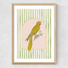 Eccentric Parrot Medium Oak Frame