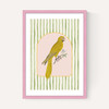Eccentric Parrot