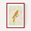 Eccentric Parrot