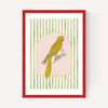 Eccentric Parrot